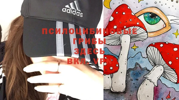 ALPHA-PVP Армянск