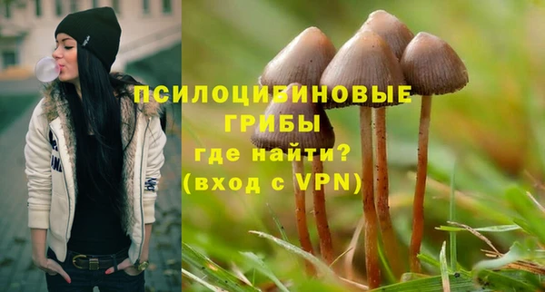 ALPHA-PVP Армянск